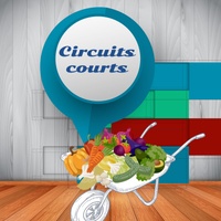circuit court